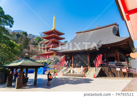 東京高hat不動產空王寺伏都堂和五層寶塔 74793521