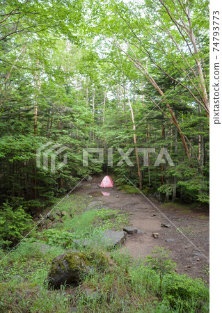 Yatsugatake Shirabiso hut tent area after the rain, limited color tent color for two people. Arai tent. Air rise. Yatsugatake Shirabiso hut tent area after the rain, limited color tent color for two people. Arai tent. Air rise. 74793773