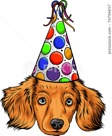 A cute little puppy with party hat A cute little puppy with party hat 74794657