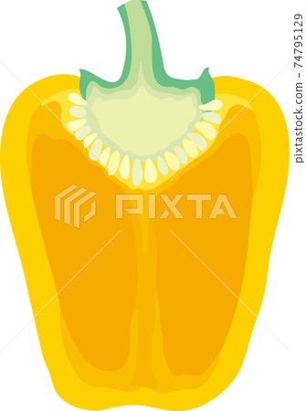 黃色辣椒粉的橫截面 74795129