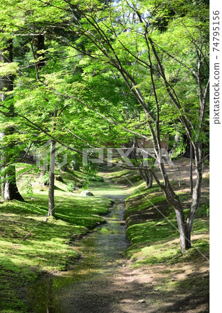 岩手縣平泉町平泉岩手本寺花園 岩手縣平泉町平泉岩手本寺花園 74795156