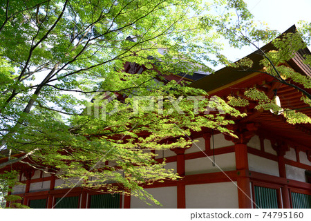Motsu-ji Temple Garden Hiraizumi Iwate, Hiraizumi Town, Iwate Prefecture 74795160