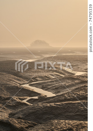 Tidal flat, Ganghwa-do, Ganghwa-gun, Incheon Tidal flat, Ganghwa-do, Ganghwa-gun, Incheon 74795339