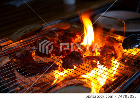 Charcoal-grilled food on the BBQ stove 74795855