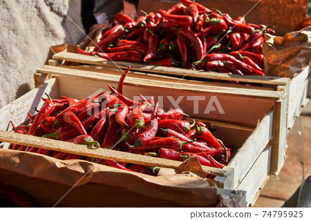 Red hot chili pepper in wooden boxes under the sun 74795925