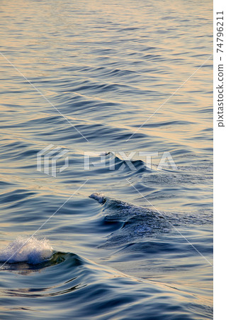 Sunset waves on the sea, 74796211