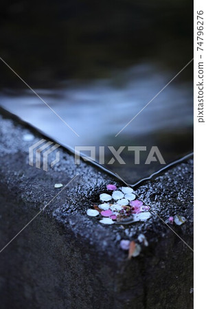 Rokujizo and plum 74796276