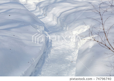 Snow-covered hiking trail in the city park Snow-covered hiking trail in the city park 74796740