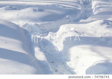 Snow-covered hiking trail in the city park Snow-covered hiking trail in the city park 74796743