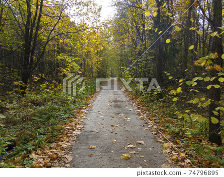 Sokolniki park, sunny autumn day wooden arch 74796895