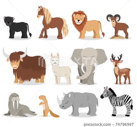 vector cute animals set vector cute animals set 74796997