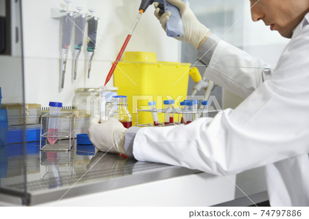 Scientist Filling Test Tube With Hitech Pipette Scientist Filling Test Tube With Hitech Pipette 74797886