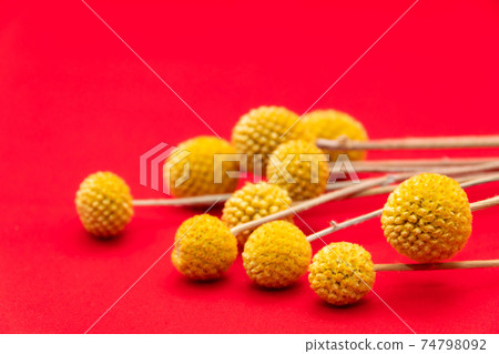 Dried flowers 34 74798092