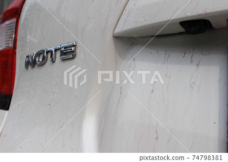 Iron powder stuck in the body that reacts with the iron powder remover 74798381