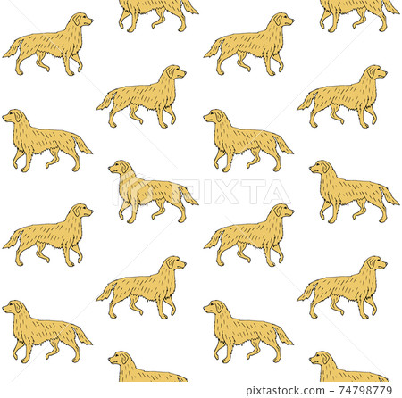 Vector seamless pattern of colored retriever dog 74798779