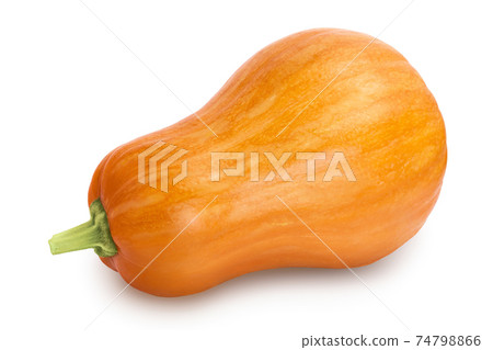 butternut squash isolated on white background with clipping path and full depth of field butternut squash isolated on white background with clipping path and full depth of field 74798866