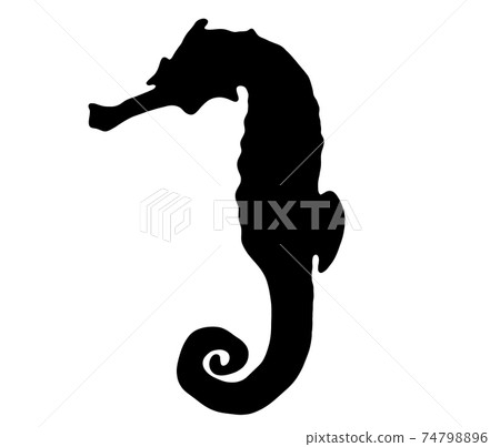 酷海馬剪影 74798896