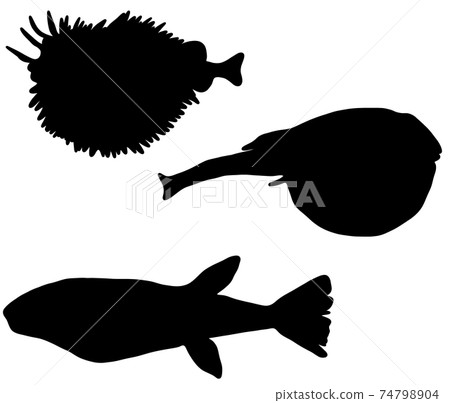 Porcupinefish and blowfish silhouette 74798904