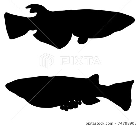 Silhouette of medaka holding an egg 74798905