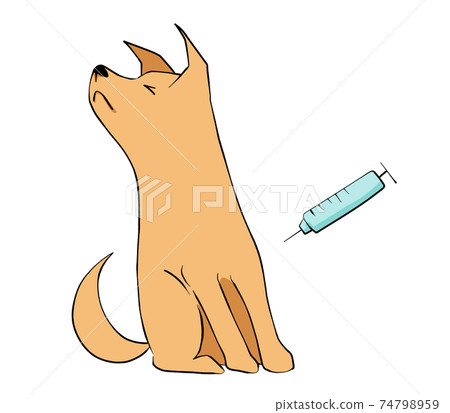 狗拒絕注射 狗拒絕注射 74798959