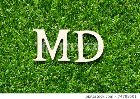 Wood alphabet letter in word MD (abbreviation of doctor of medicine or managing director) on green grass background 74799501