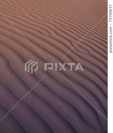 Dune background Dune background 74799637