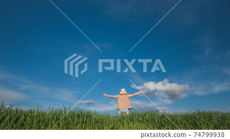 A free woman stands in the green grass against a blue sky, raised up her hands 74799938