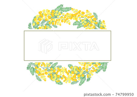 含羞草花相框 74799950