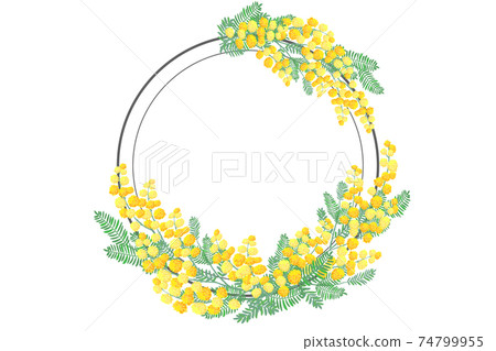 Mimosa flower frame Mimosa flower frame 74799955