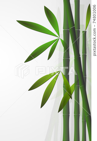 Bamboo background over white Bamboo background over white 74801006