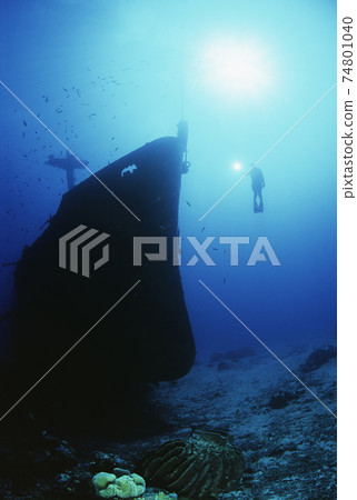 Scuba Diver Exploring Sunken Ship 74801040