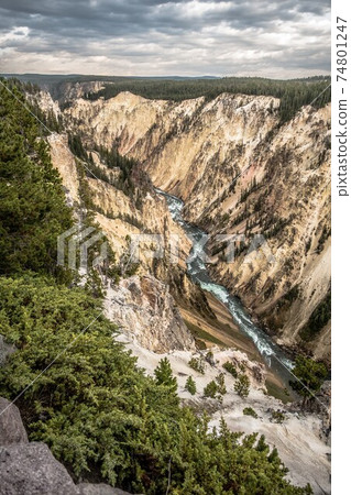 Lower Yellowstone Falls in the Yellowstone National Park 74801247