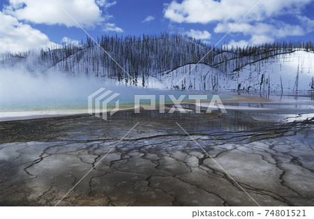 USA, Wyoming, Yellowstone National Park, Grand Prismatic Spring, mist over hot spring in winter landscape USA, Wyoming, Yellowstone National Park, Grand Prismatic Spring, mist over hot spring in winter landscape 74801521
