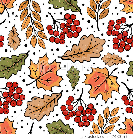 AUTUMN ROWAN MAPLE OAK LEAVES Fall Nature... - Stock Illustration ...