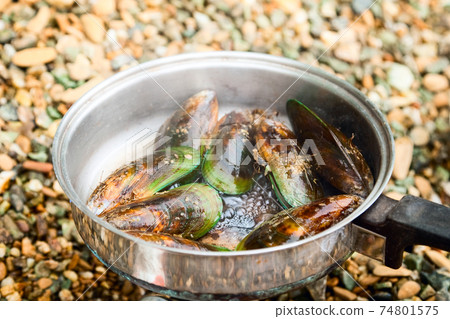 Cooking greenshell mussels Cooking greenshell mussels 74801575
