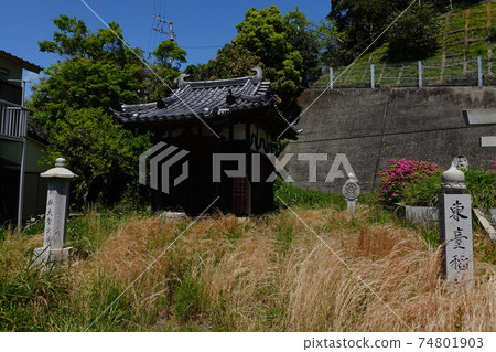 東洋稻荷大社 74801903