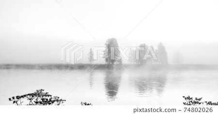 Hayden Valley and Yellowstone River, Yellowstone National Park 74802026