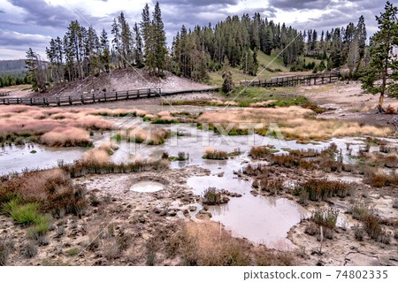 hot spring and geiser in yellowstone national par hot spring and geiser in yellowstone national par 74802335