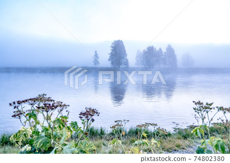 Hayden Valley and Yellowstone River, Yellowstone National Park 74802380