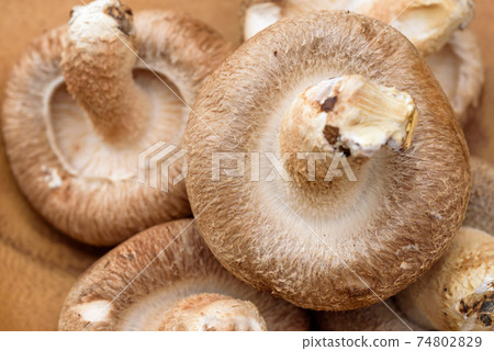 Close-up of raw shiitake mushrooms 74802829