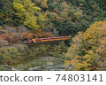 Ashinono多莉火車在秋天 74803141