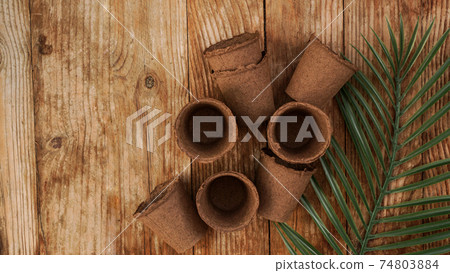 Empty peat pots for seedlings on a wooden background with tropical leaf Empty peat pots for seedlings on a wooden background with tropical leaf 74803884