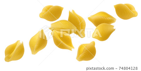 Falling striped shell pasta isolated on white background Falling striped shell pasta isolated on white background 74804128