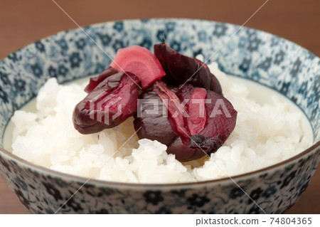 Shibazuke and rice Shibazuke and rice 74804365