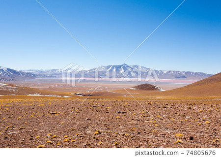 Laguna Colorada view, Bolivia 74805676