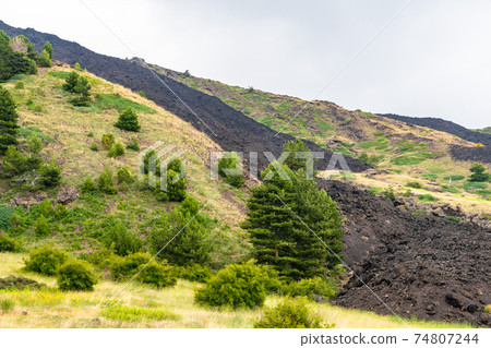 Mount Etna volcanic landscape and its typical summer vegetation 74807244