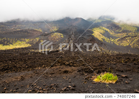 Mount Etna volcanic landscape and its typical summer vegetation Mount Etna volcanic landscape and its typical summer vegetation 74807246