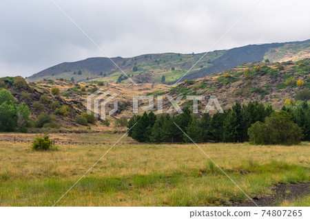 Mount Etna volcanic landscape and its typical summer vegetation Mount Etna volcanic landscape and its typical summer vegetation 74807265