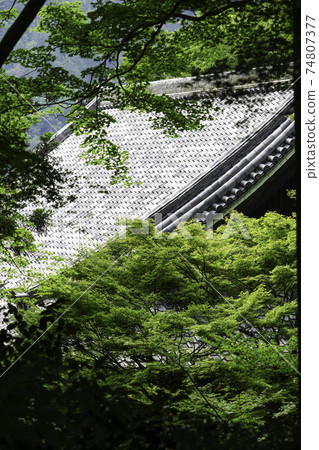 Tiled roof of a temple 74807377