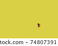 Ladybug Against Yellow Background Illustration 74807391